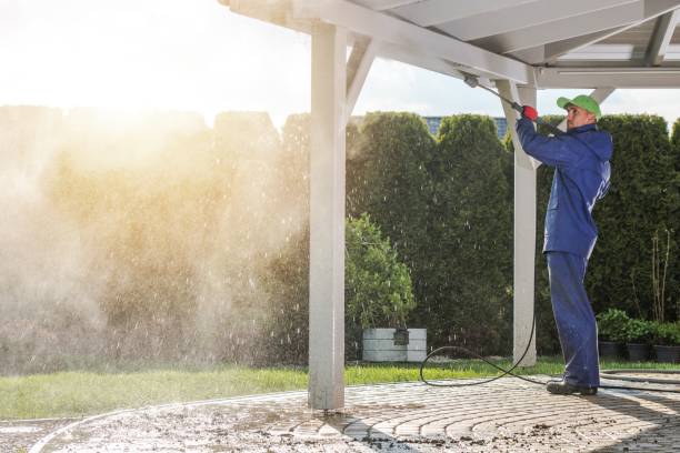Best Sidewalk and Walkway Cleaning  in Arvin, CA